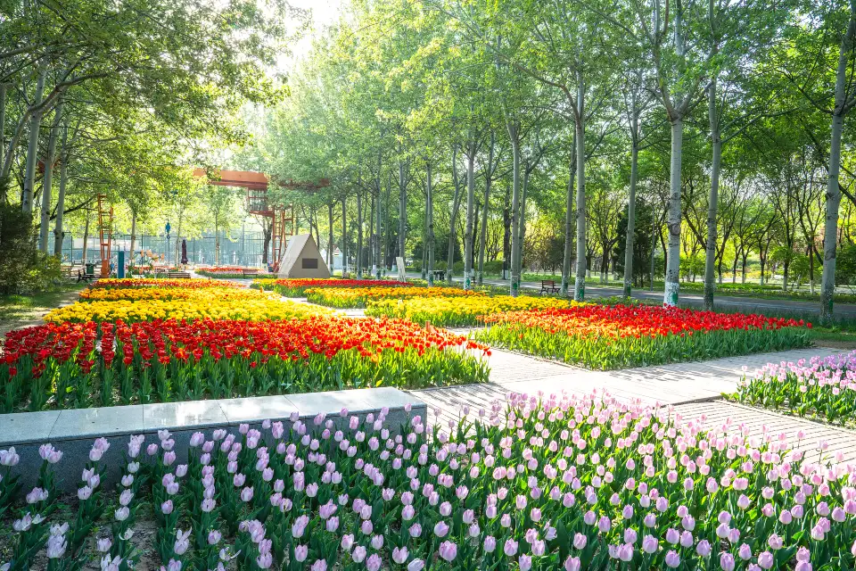 2_Sun Park