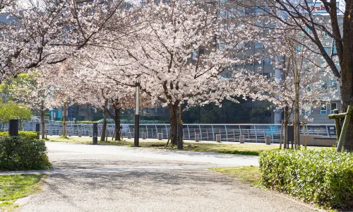 Nakanoshima Park