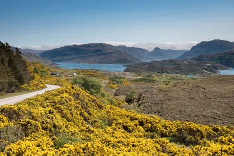 Scottish Highlands