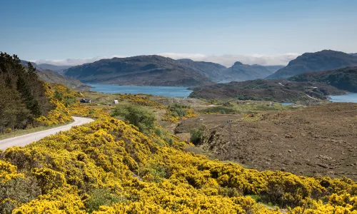 Scottish Highlands