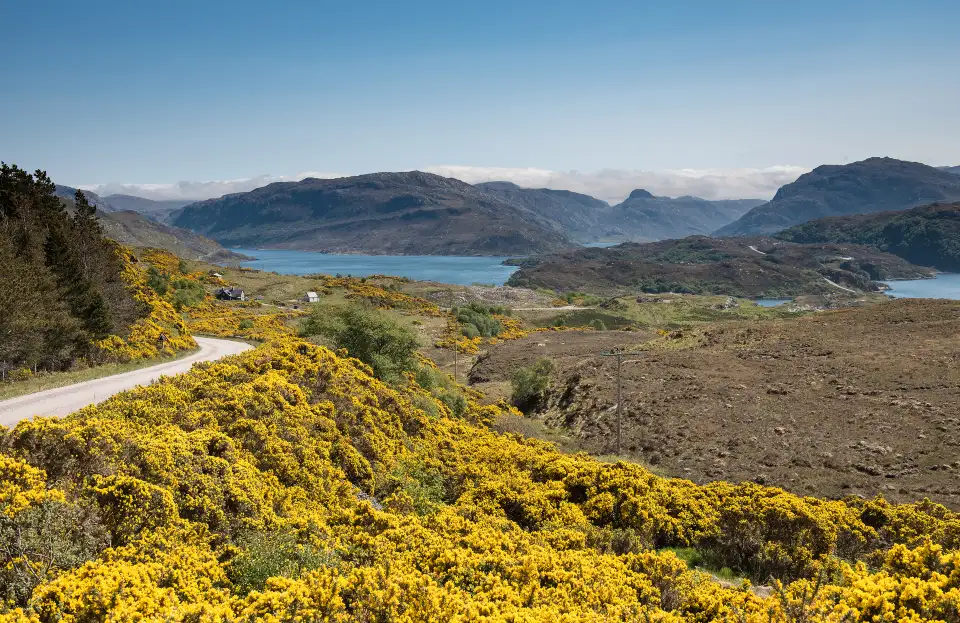 4_Scottish Highlands