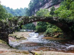 Huangjing Prehistoric Forest