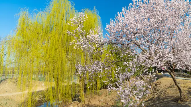 3_圓明園