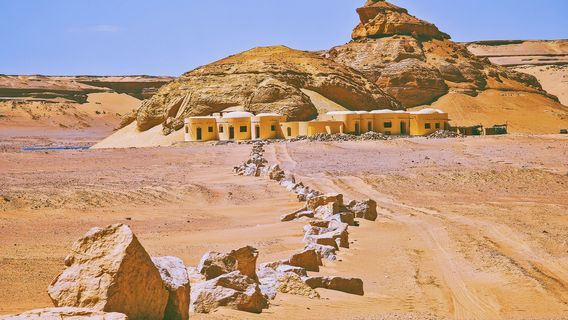 Wadi Hitan National Park