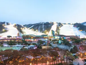 대한민국 스키 베스트 6
