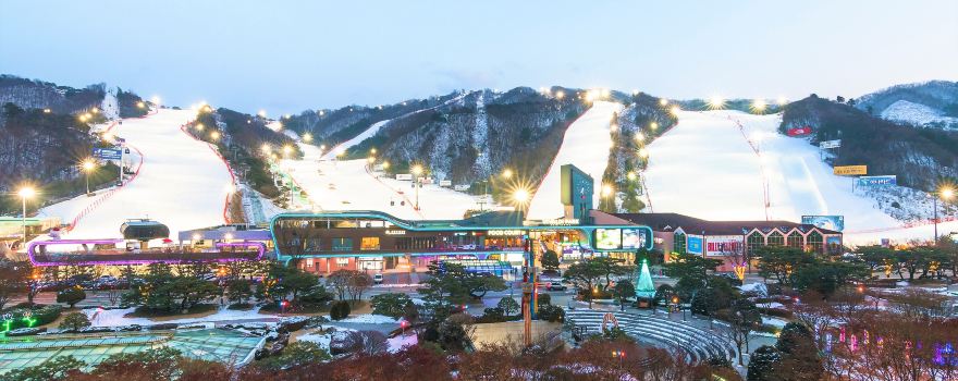 비발디파크