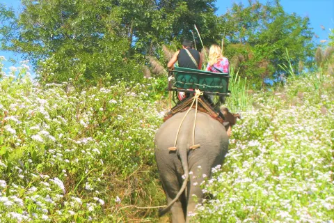 Chang Puak Elephant Camp Hat Yai