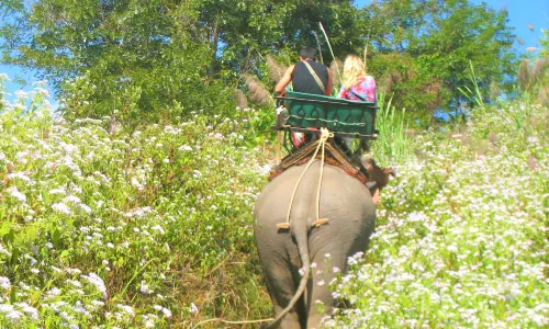 Chang Puak Elephant Camp Hat Yai