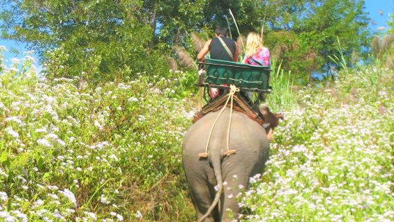 Chang Puak Elephant Camp Hat Yai