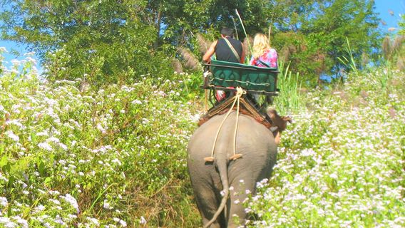 Chang Puak Elephant Camp Hat Yai