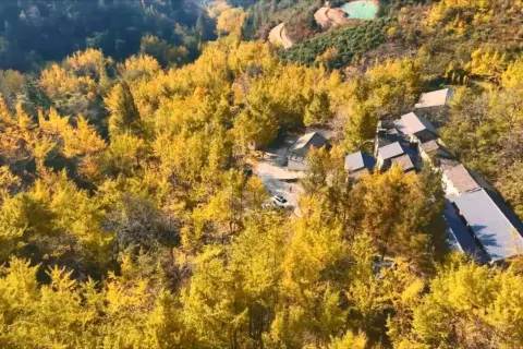 Tiantai Mountain Scenic Area