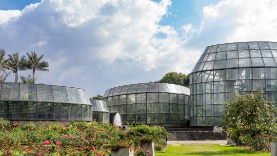 Jardín Botánico de Bogotá José Celestino Mutis