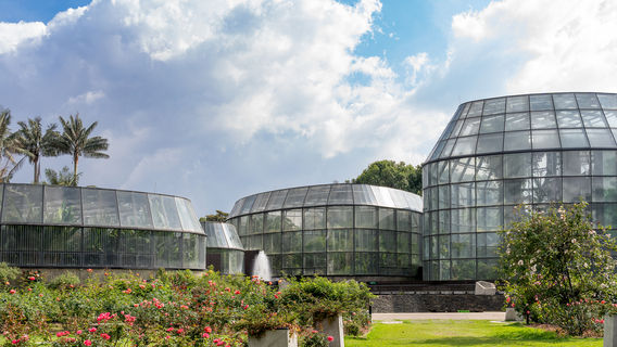 Jardin botanique José Celestino Mutis