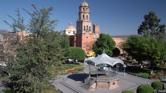Zenea Garden
