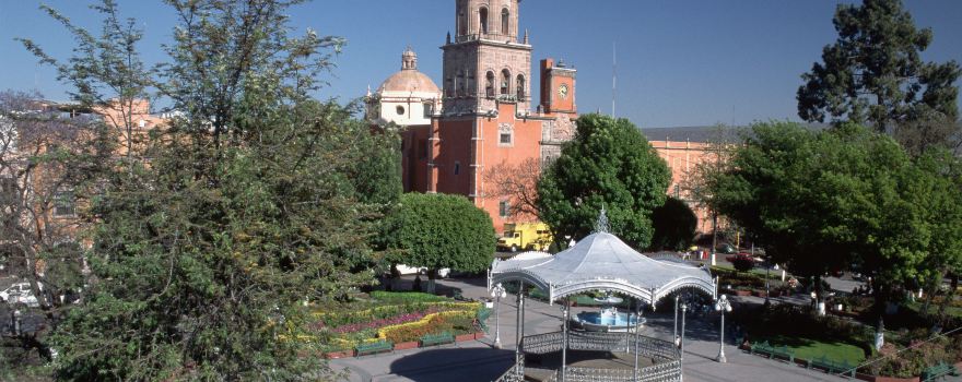 Zenea Garden
