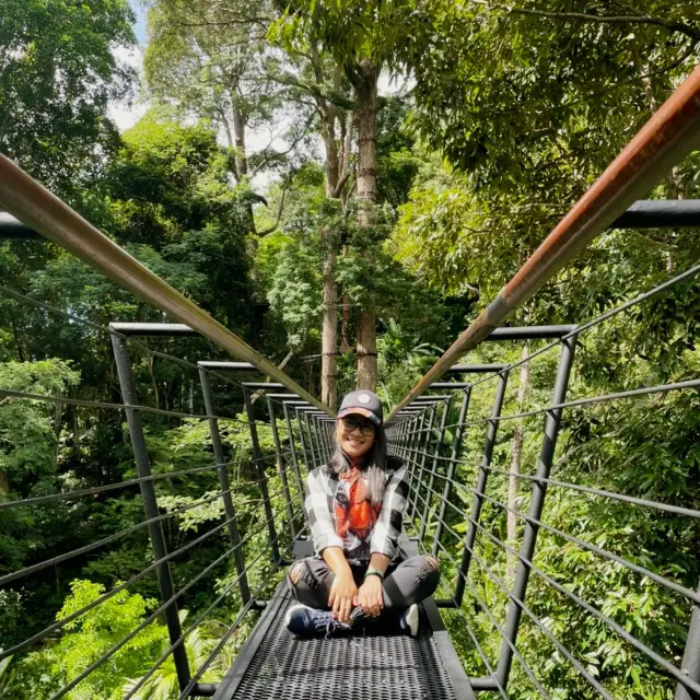 Jungle fun in the heart of Phuket!