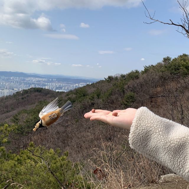 [수원 등산은 광교산에서]