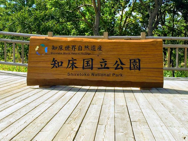 夏の知床