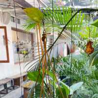Nice small Cafe in the center Surabaya