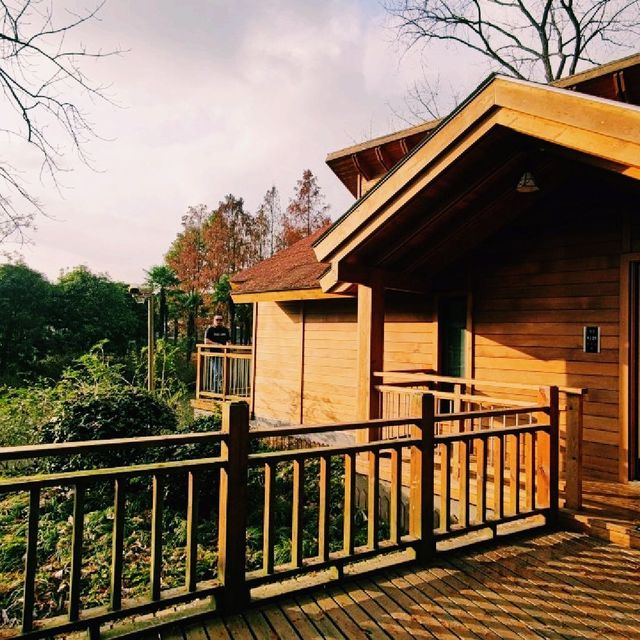 Chongming Forest Cabins Escape the City
