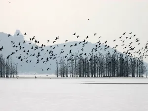 동호 낙안 관광지