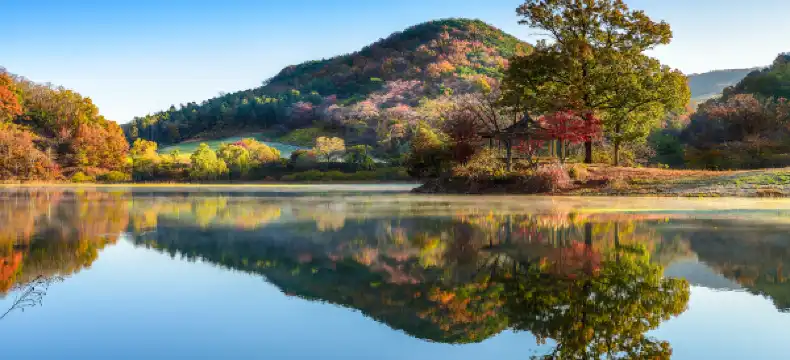 瑞山市のホテル