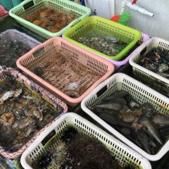 朋来洲海鲜排档·蒸汽火锅(南澳岛青澳湾北回归线店) User Photo