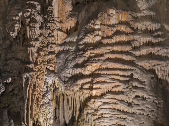 Postojnska Caves