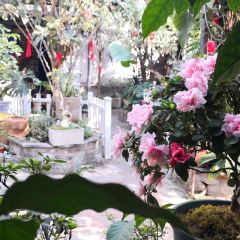 小瓦碴厨房餐厅 User Photo