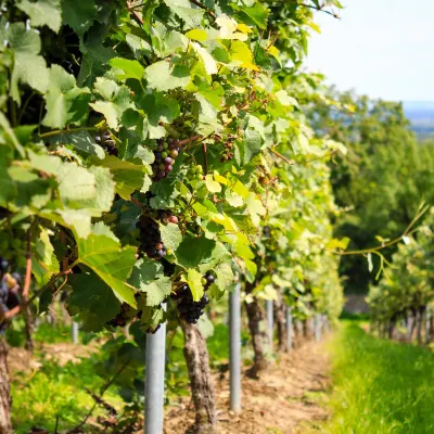 3-звездочные отели в г. Сам-Пхран