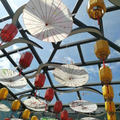 GU MA DOU FU HUA User Photo