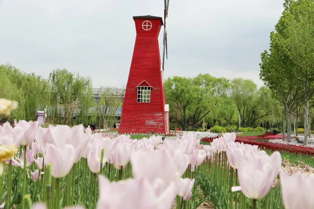 Hebei Yeshengyuan Hotel