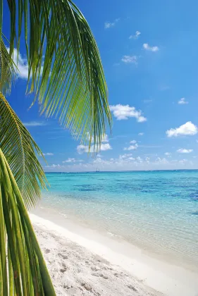 Отзывы об отеле The St. Regis Bora Bora Resort