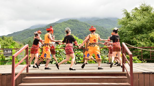 오지산 수이만허 열대우림 관광지