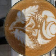 Darwin's Café User Photo