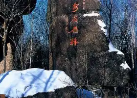 Xing'anling Stone Forest