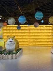 貓咪博物館(李滄萬達店)