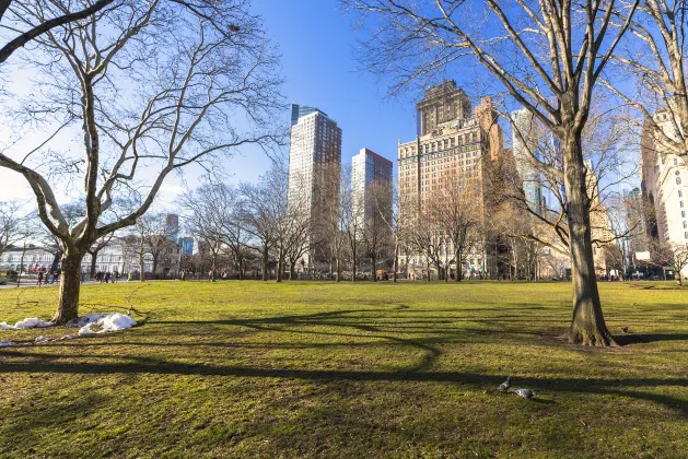 Hilton Garden Inn New York/Midtown Park Avenue