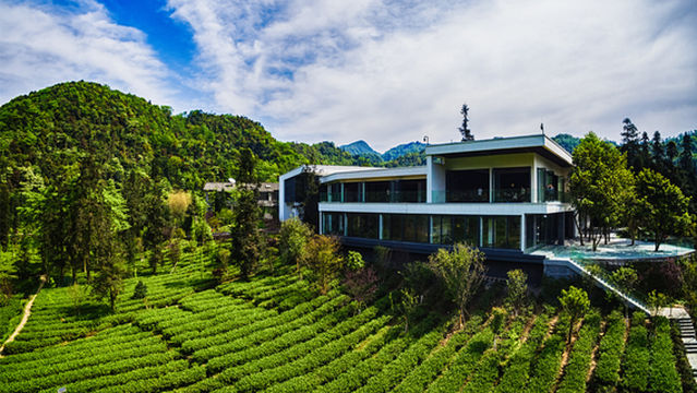 Funong Orange Orchard · Happy World