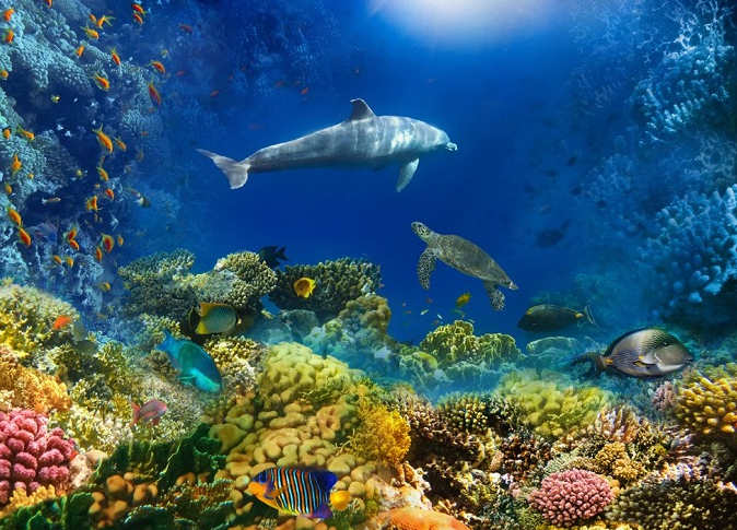 베트남 여행 준비물