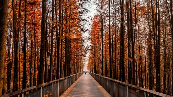 青山湖健康步道