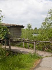 De Groote Peel National Park