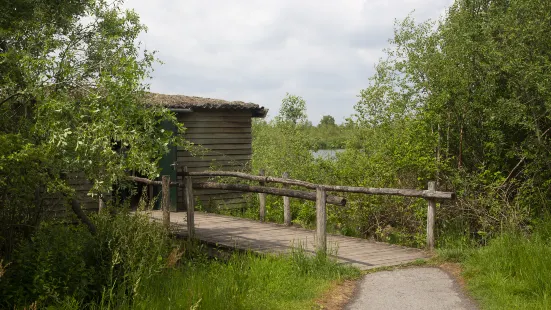 De Groote Peel National Park