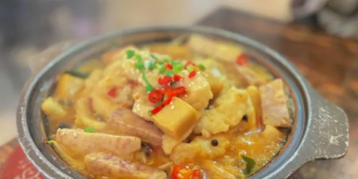 喵主魚僕啵啵魚