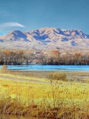 Bosque del Apache National Wildlife Refuge Visitor Center