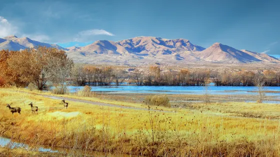 Bosque del Apache National Wildlife Refuge Visitor Center