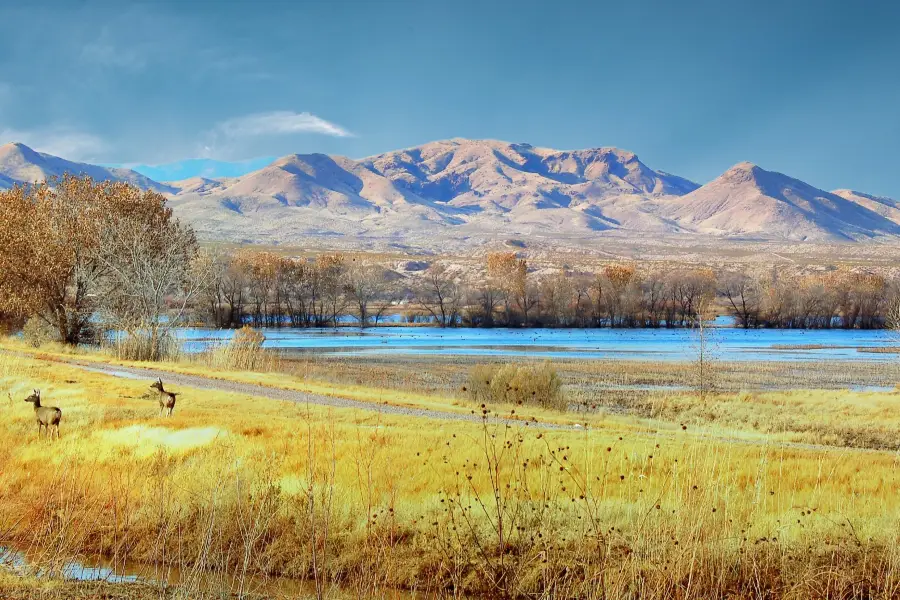 Bosque Del Apache National Wildlife Refuge Visitor Center