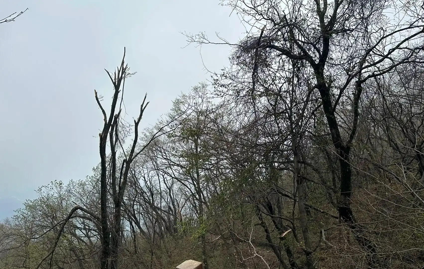 Hotels near Nanlou Mountain