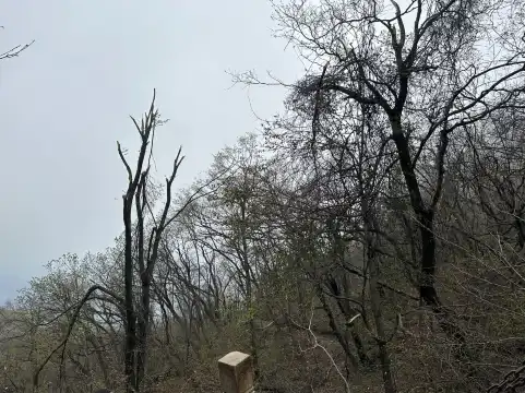 Hotels near Nanlou Mountain