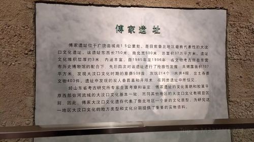Dongying Fu Clan Sites